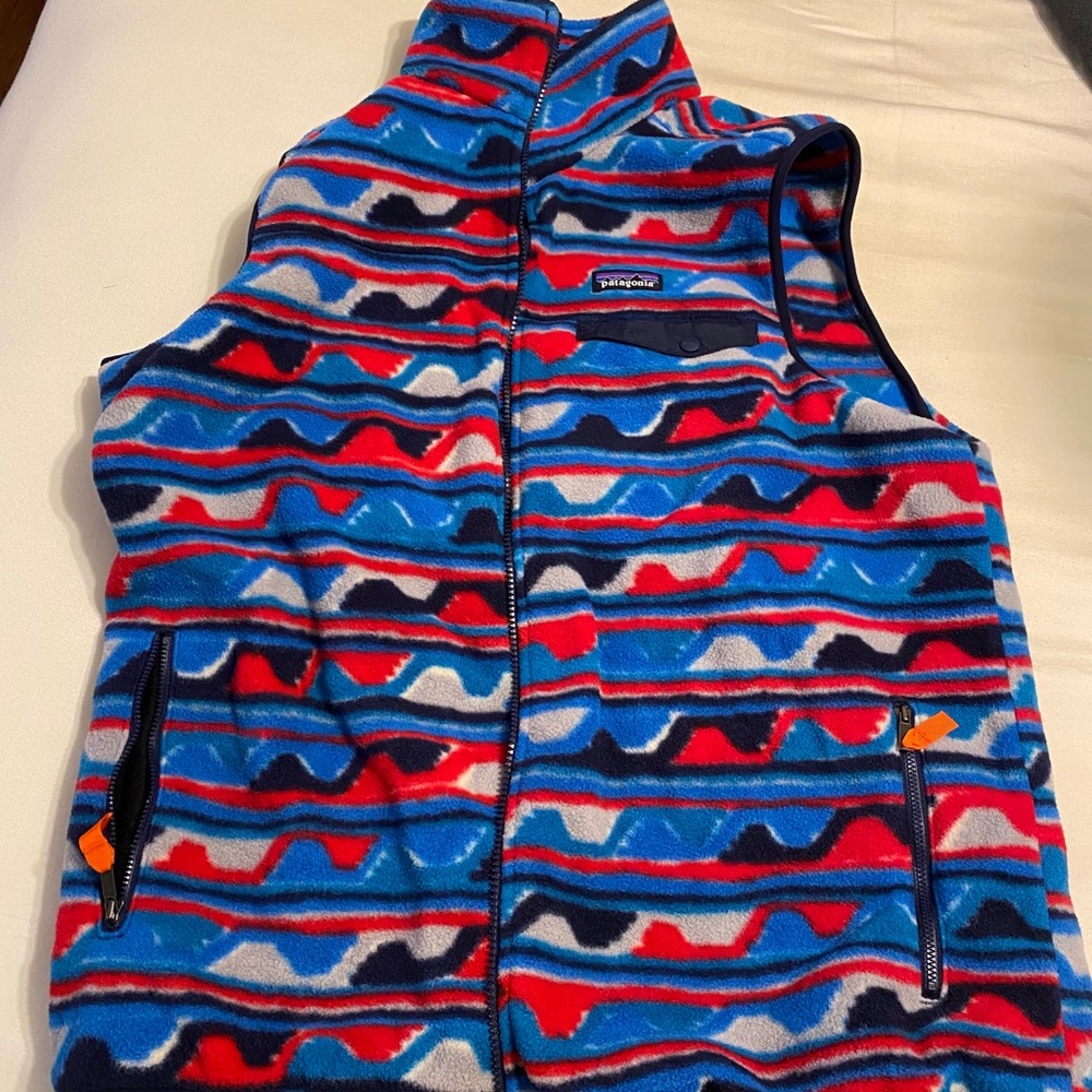 Mens Patagonia Vest